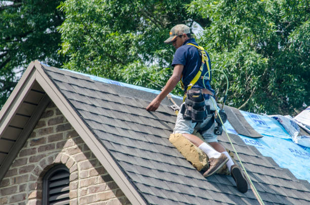 Best New Roof Installation  in Greenville, GA